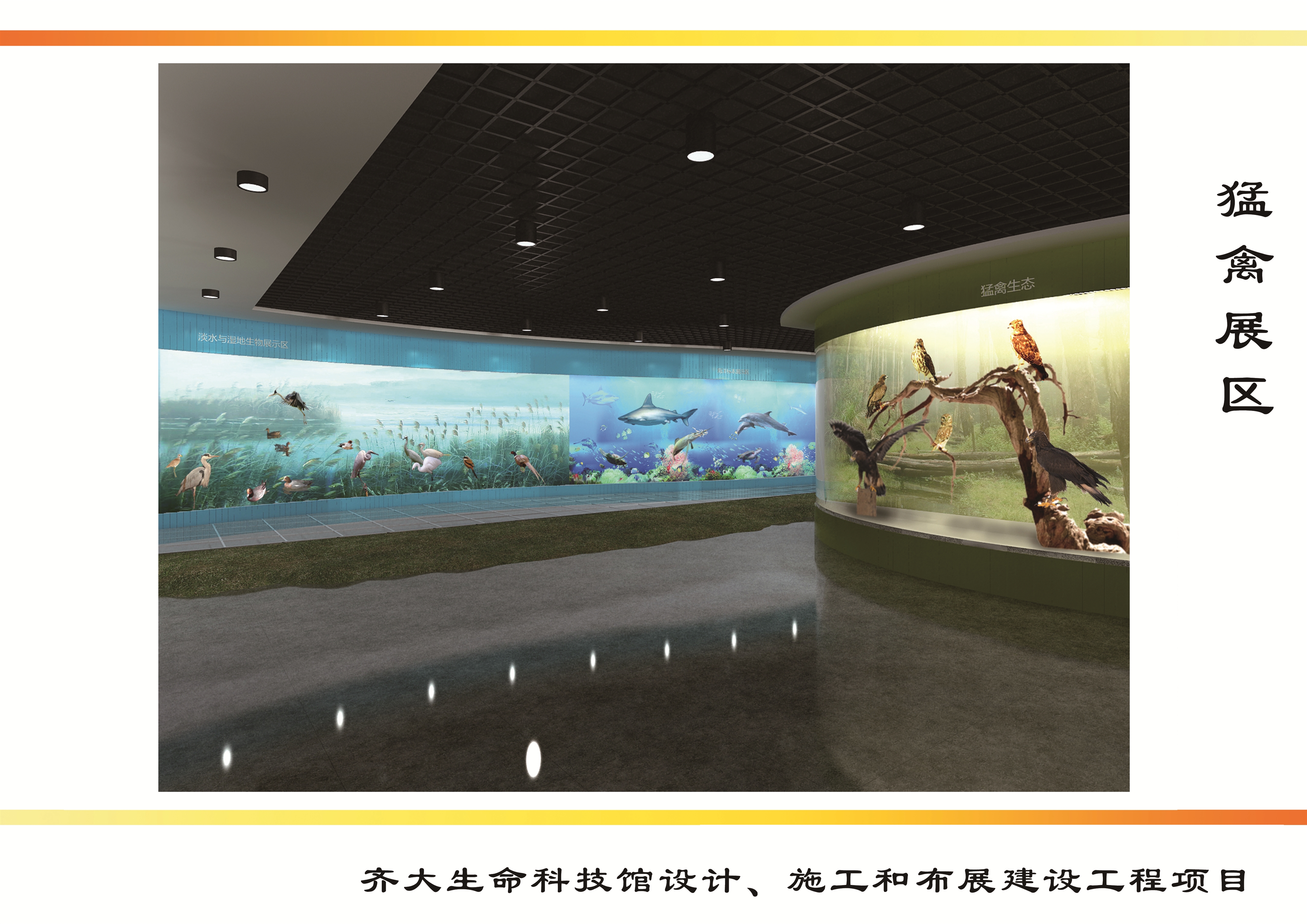 猛禽展区