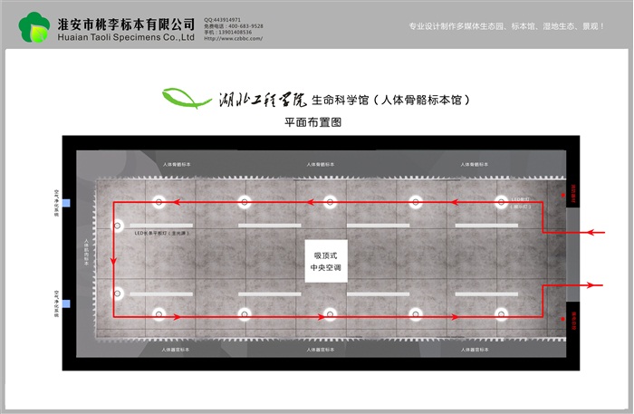 人体骨骼标本馆平面布置图