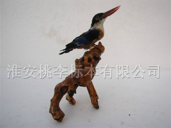 翠鸟