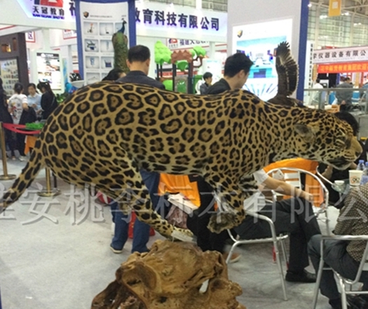 金钱豹
