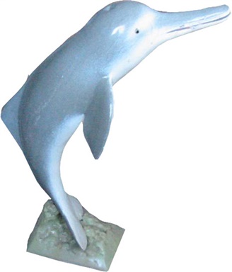 白海豚